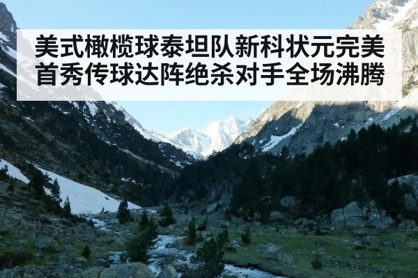 美式橄榄球泰坦队新科状元完美首秀传球达阵绝杀对手全场沸腾